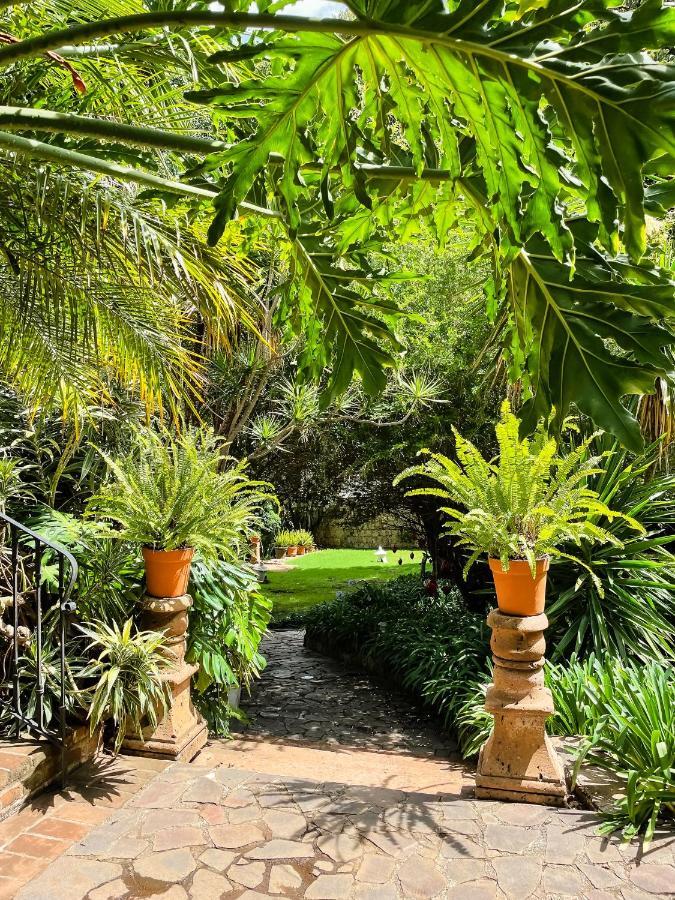 Casa Magdalena Hotel Boutique موروليا المظهر الخارجي الصورة